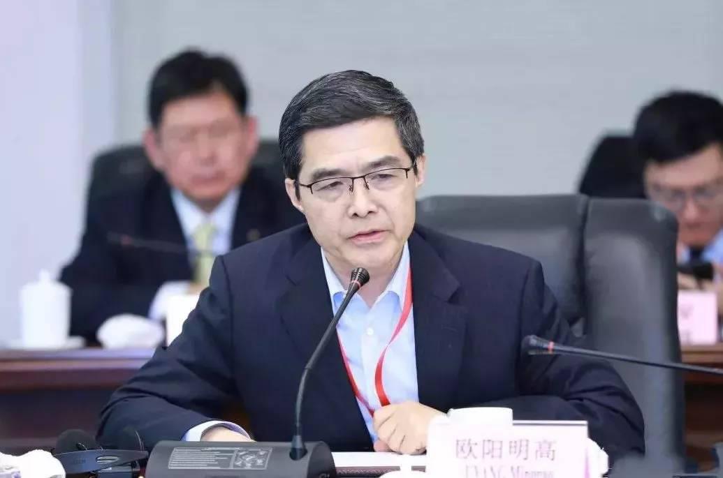 歐陽明高：新能源汽車起火是產品質量問題，不應懷疑技術路線