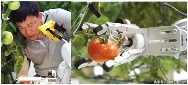 工業(yè)機器人“當(dāng)家作主”，食品加工自動化成趨勢？